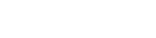logo LUDIK