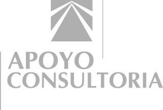 Apoyo Consultoría
